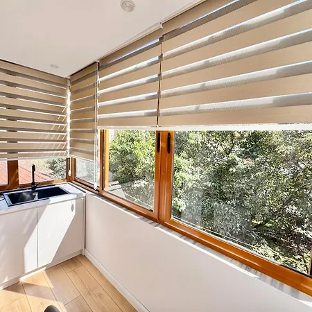 Center 1, * טיראנה